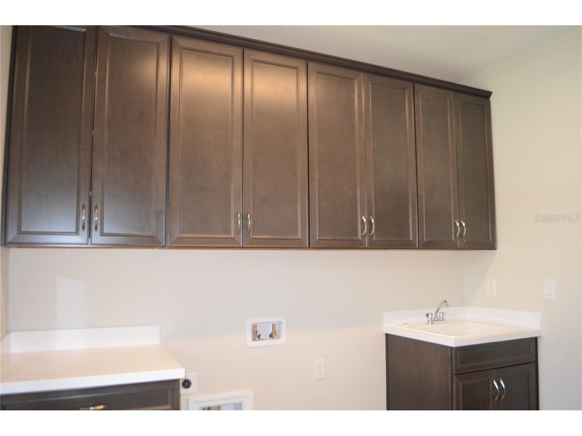 35482 Big Hawk Drive Zephyrhills FL 33541 TB8398243 image31