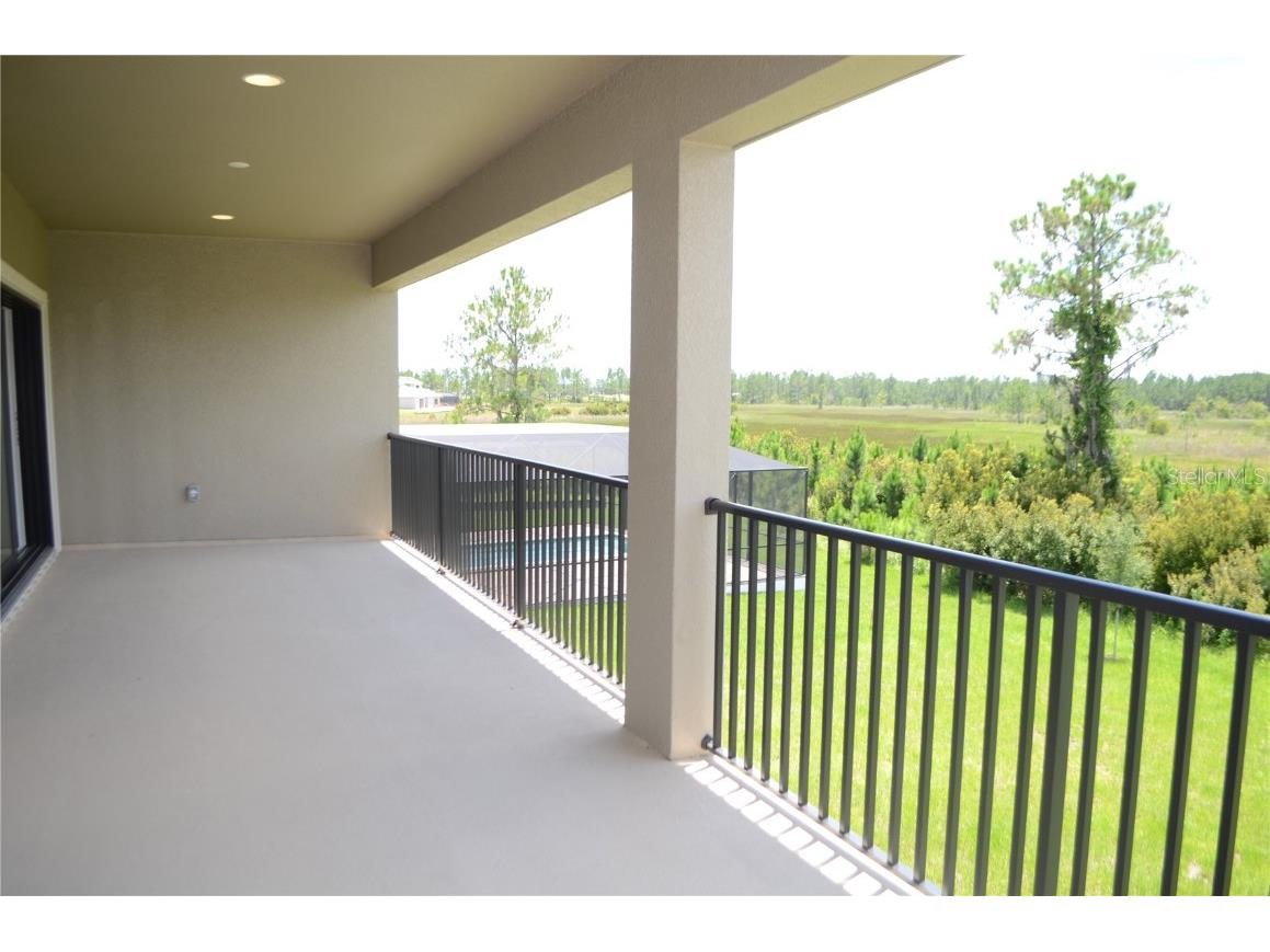 35482 Big Hawk Drive Zephyrhills FL 33541 TB8398243 image34