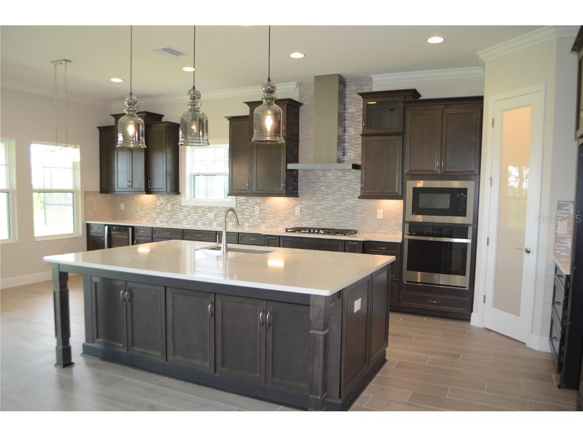 35482 Big Hawk Drive Zephyrhills FL 33541 TB8398243 image5