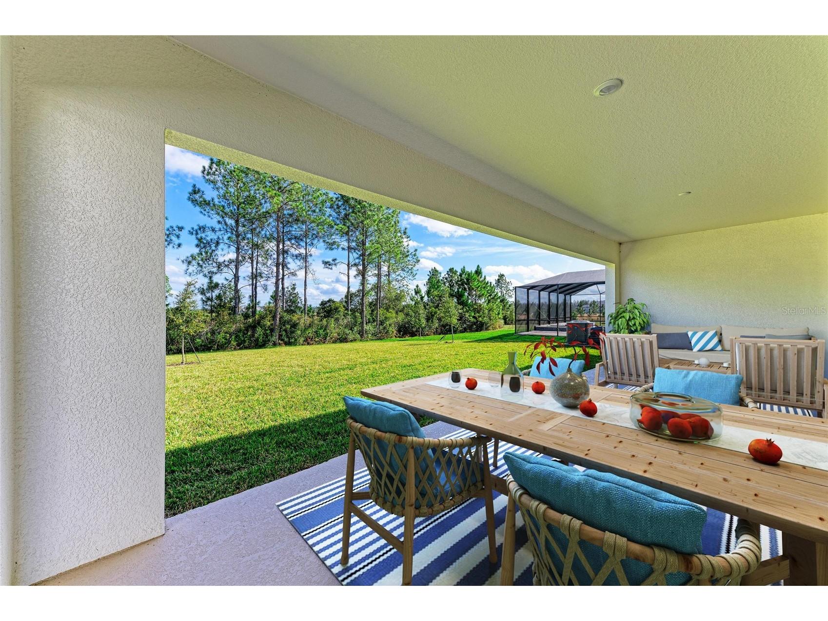 35483 Big Hawk Drive Zephyrhills FL 33541 TB8439224 image38