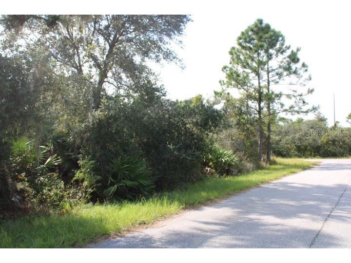 3549 Breakneck Road Lake Placid FL 33852 S5026340 image1