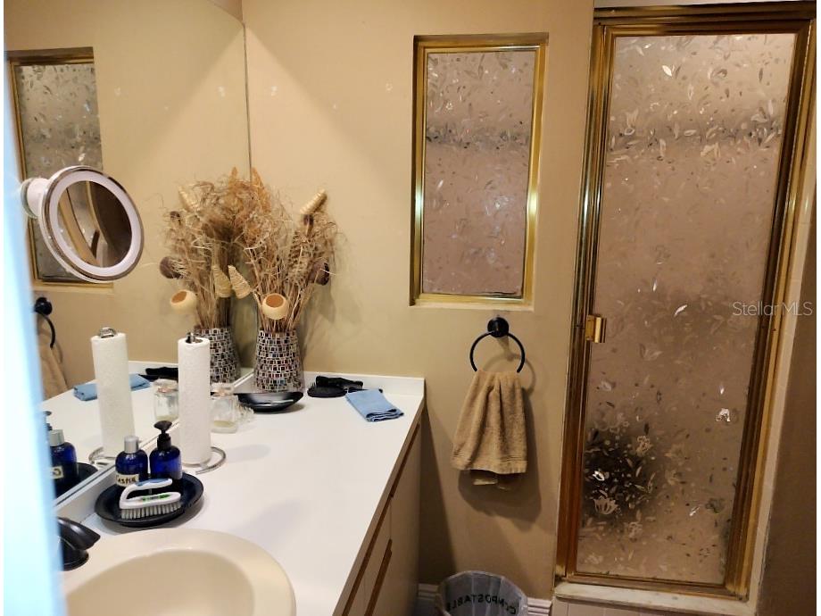 3549 Indigo Pond Drive Palm Harbor FL 34685 TB8509250 image10