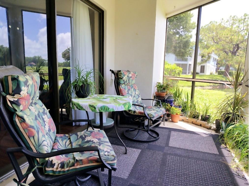 3549 Indigo Pond Drive Palm Harbor FL 34685 TB8509250 image14