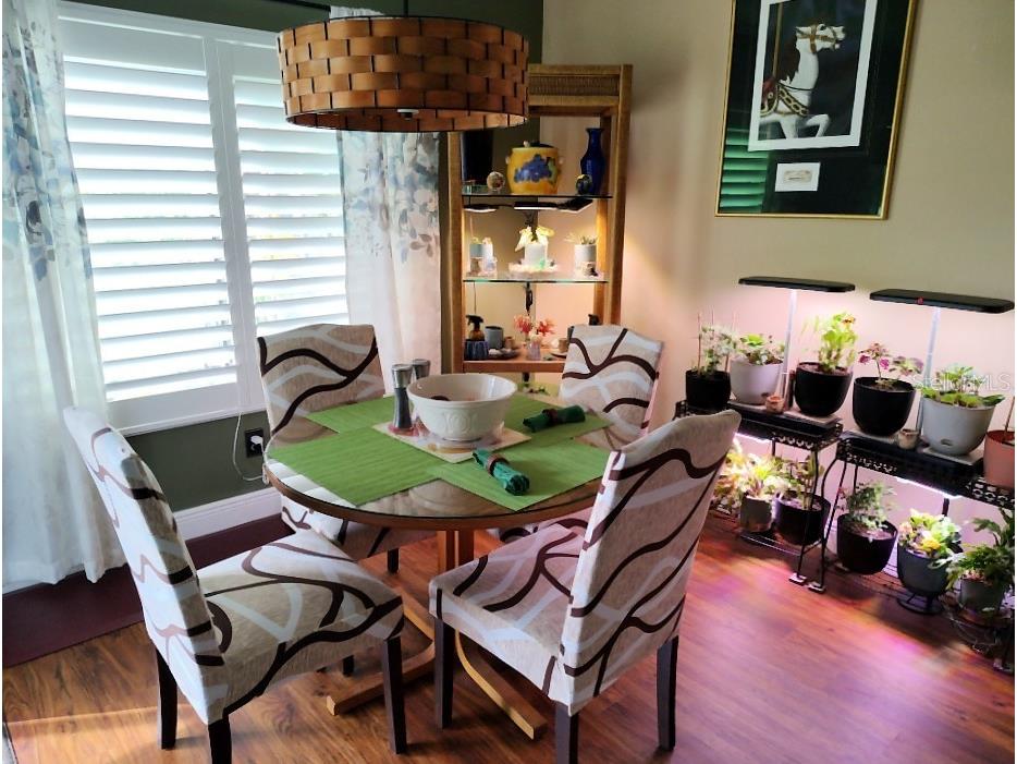 3549 Indigo Pond Drive Palm Harbor FL 34685 TB8509250 image7