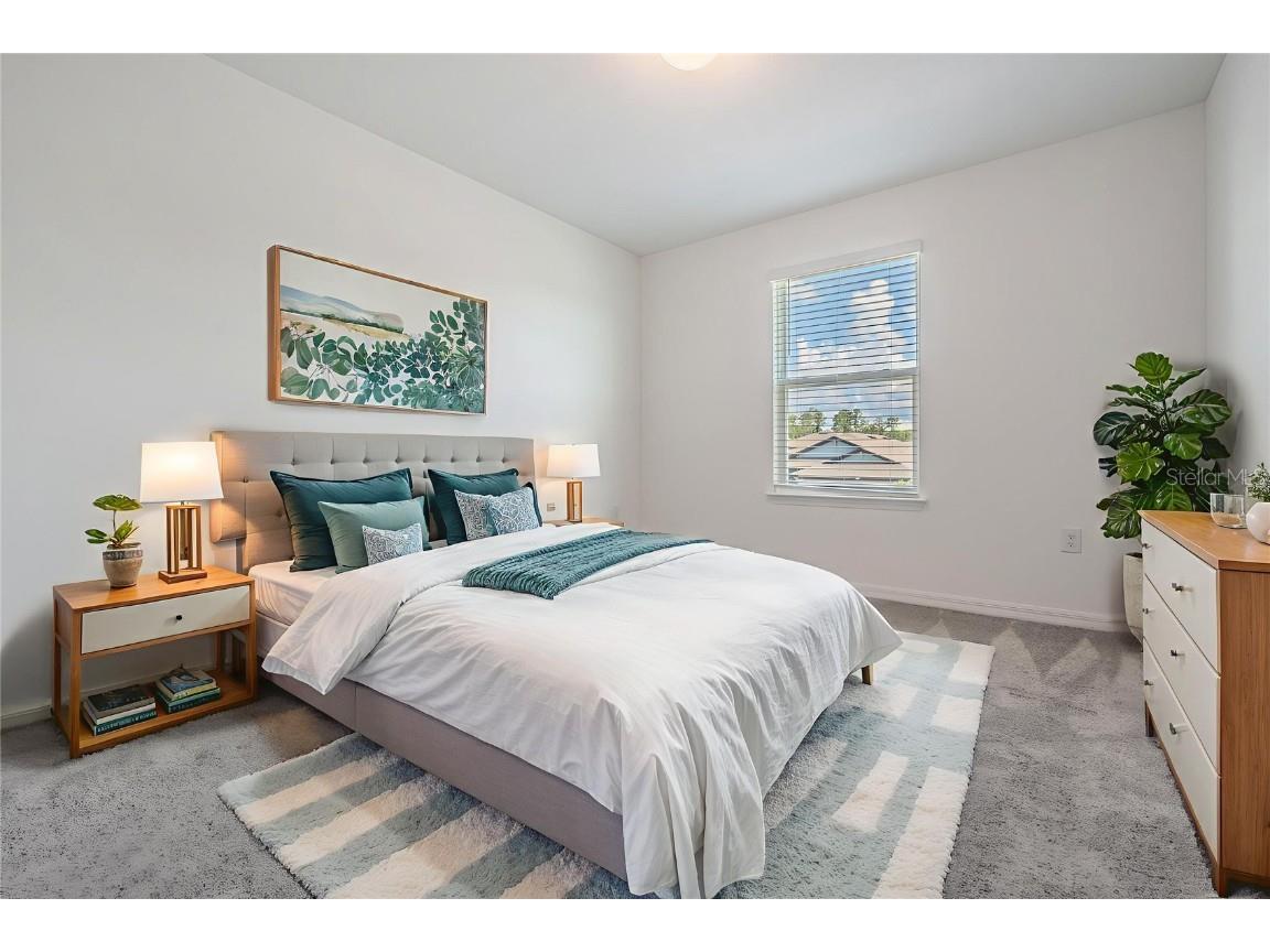 3549 Ivy Springs Lane Land O Lakes FL 34638 TB8419576 image19