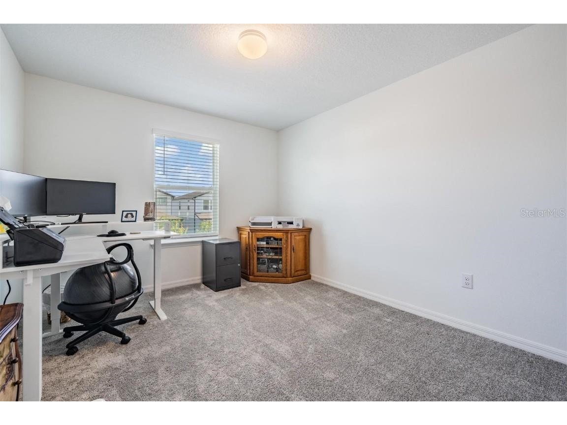 3549 Ivy Springs Lane Land O Lakes FL 34638 TB8419576 image20