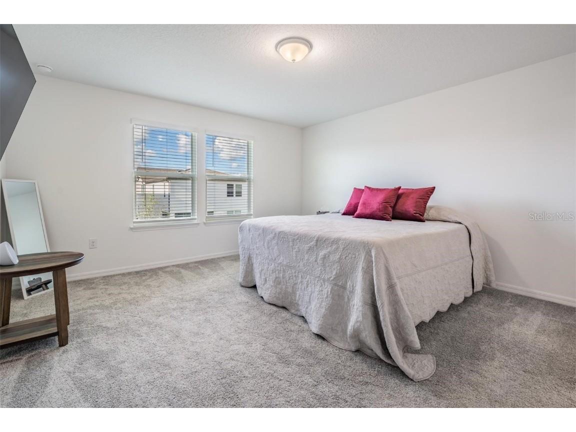 3549 Ivy Springs Lane Land O Lakes FL 34638 TB8419576 image26