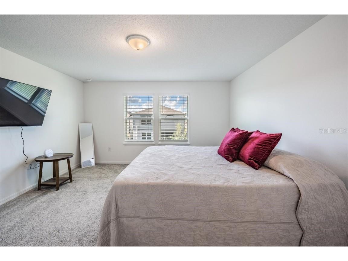 3549 Ivy Springs Lane Land O Lakes FL 34638 TB8419576 image27