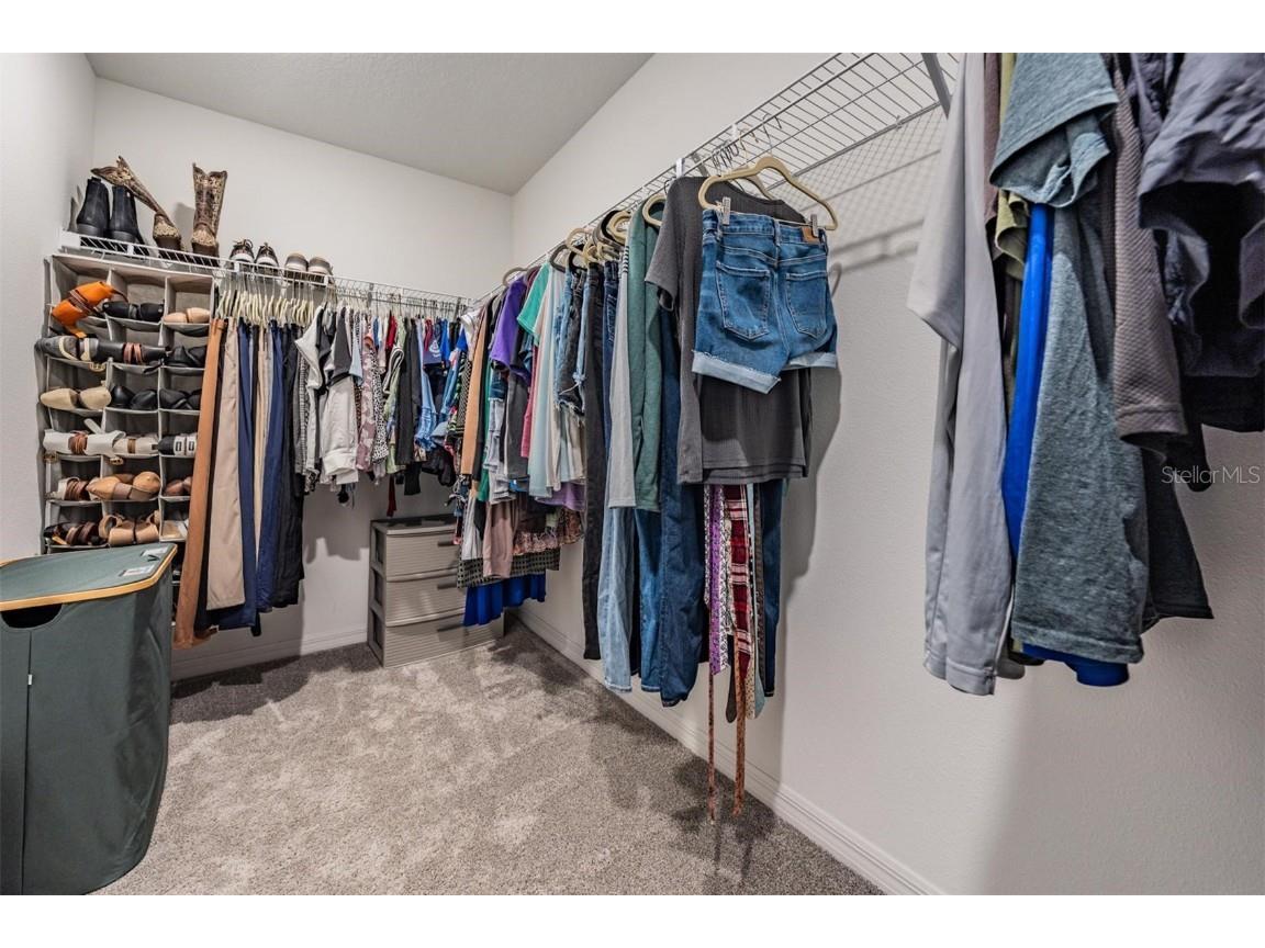 3549 Ivy Springs Lane Land O Lakes FL 34638 TB8419576 image31