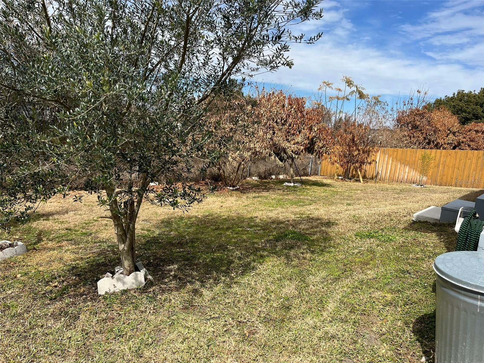 3549 Manor Loop Lakeland FL 33810 S5143727 image31