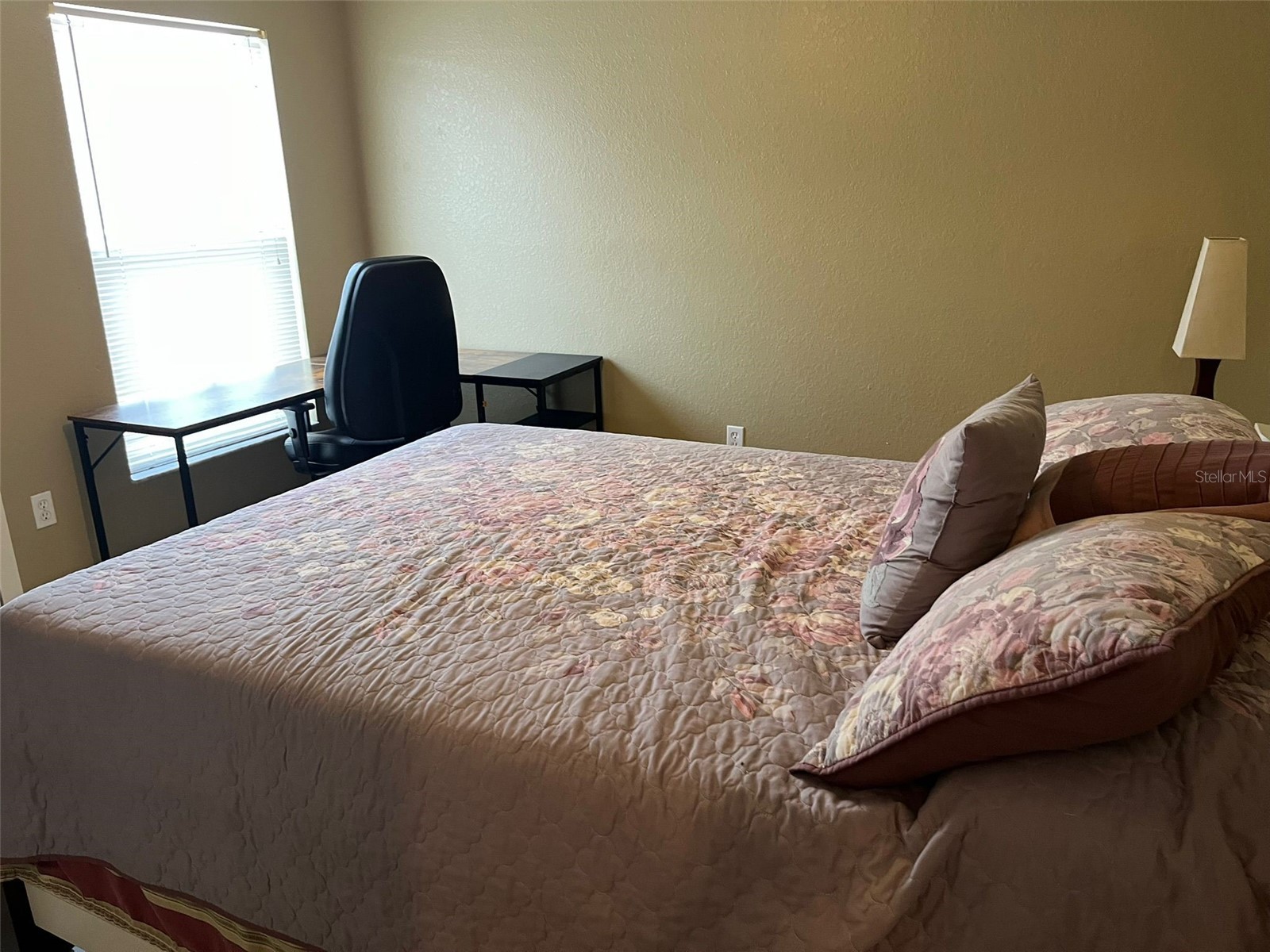 3549 Manor Loop Lakeland FL 33810 S5143727 image7