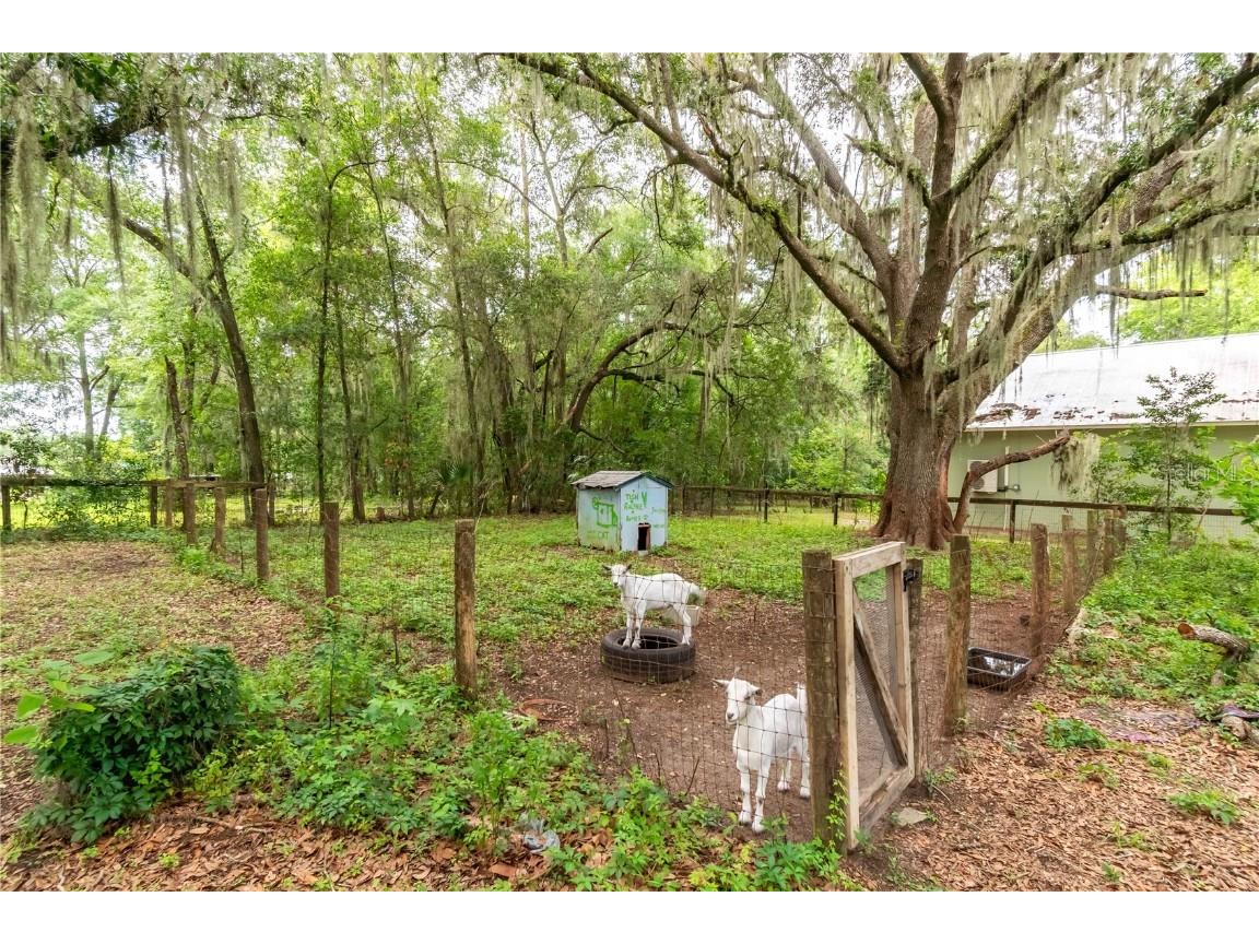 3549 SE 41st Place Ocala FL 34480 OM704336 image58