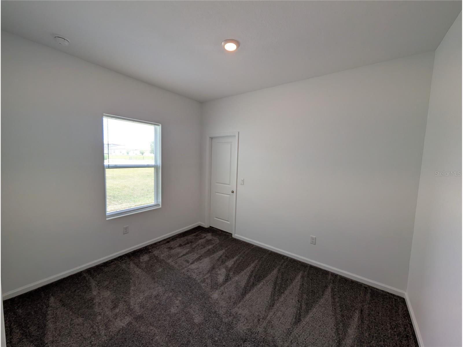35491 Shade Fern Lane Zephyrhills FL 33541 O6425045 image11