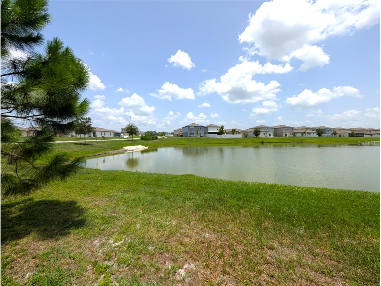 35491 Shade Fern Lane Zephyrhills FL 33541 O6425045 image18