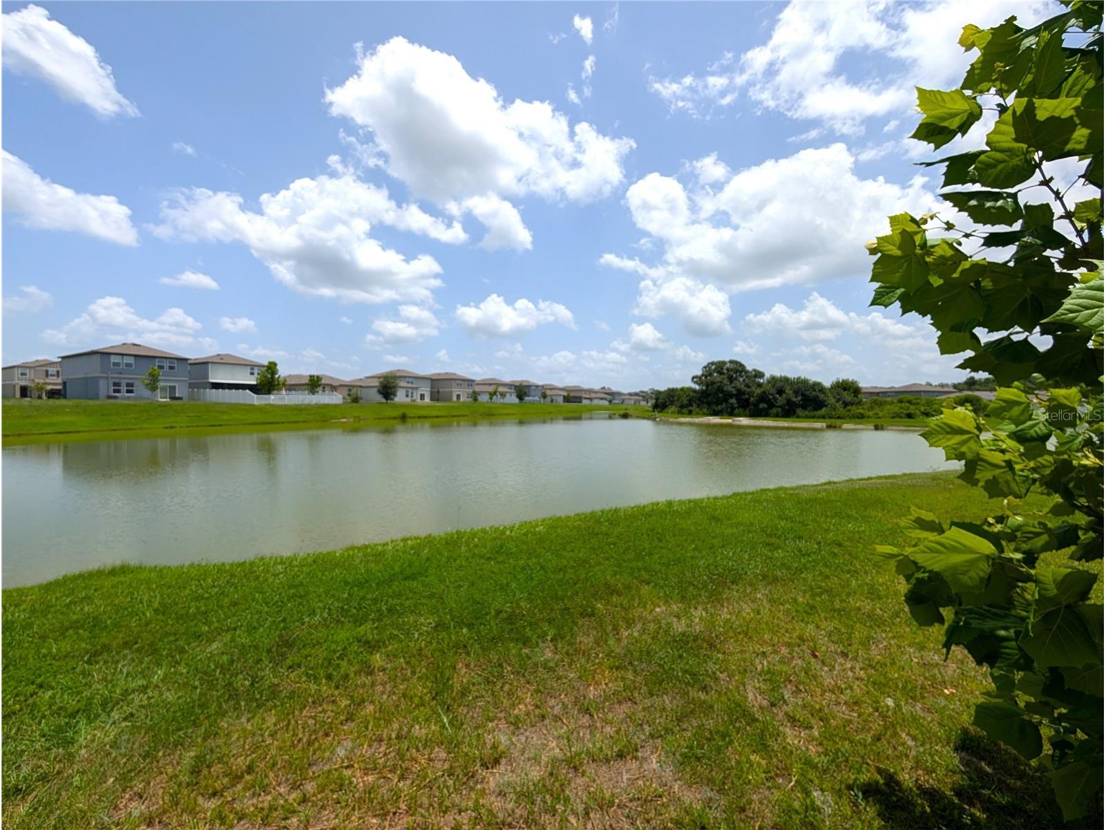 35491 Shade Fern Lane Zephyrhills FL 33541 O6425045 image19