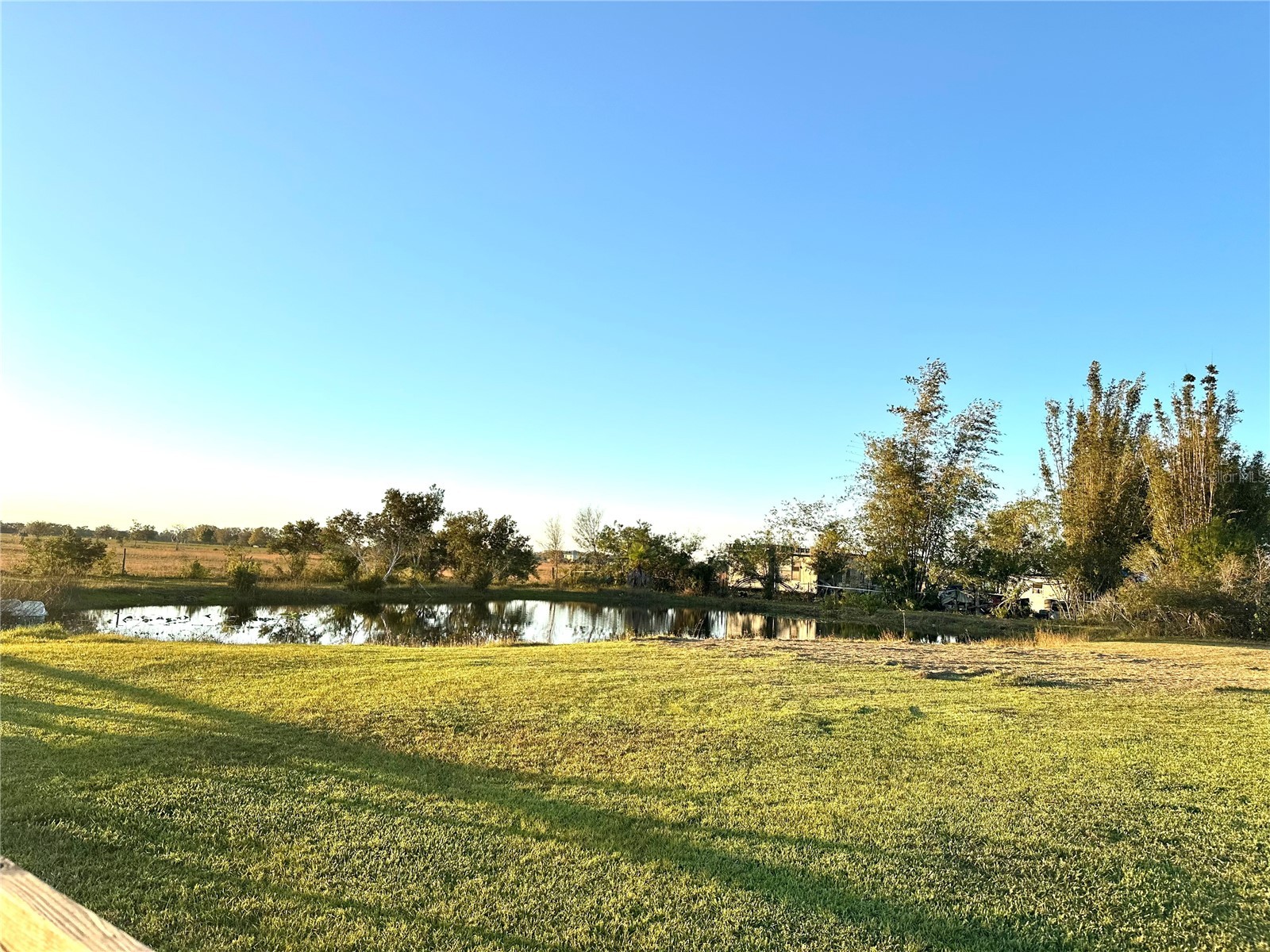 35495 Singletary Road Myakka City FL 34251 A4687955 image45