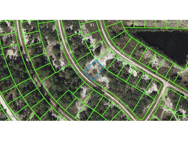 355 Cinema Drive Lake Placid FL 33852 OM542074 image1