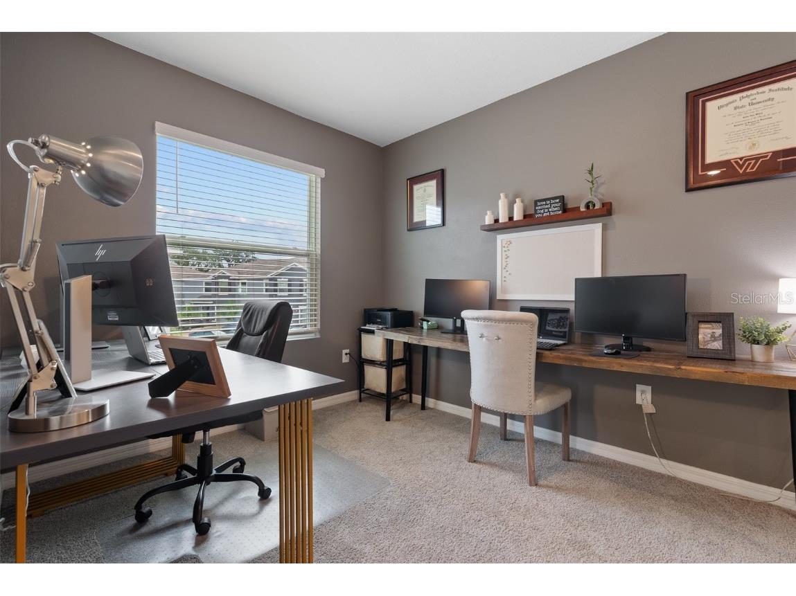 355 Mangrove Shade Circle Apollo Beach FL 33572 TB8437119 image17