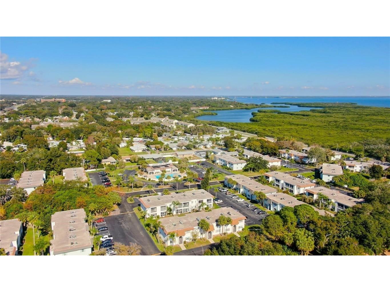 355 Mcmullen Booth Road #116 Clearwater FL 33759 TB8320551 image13