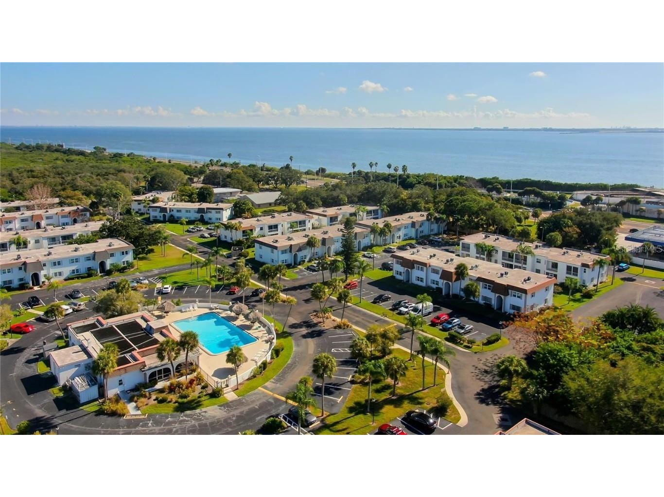 355 Mcmullen Booth Road #116 Clearwater FL 33759 TB8320551 image5