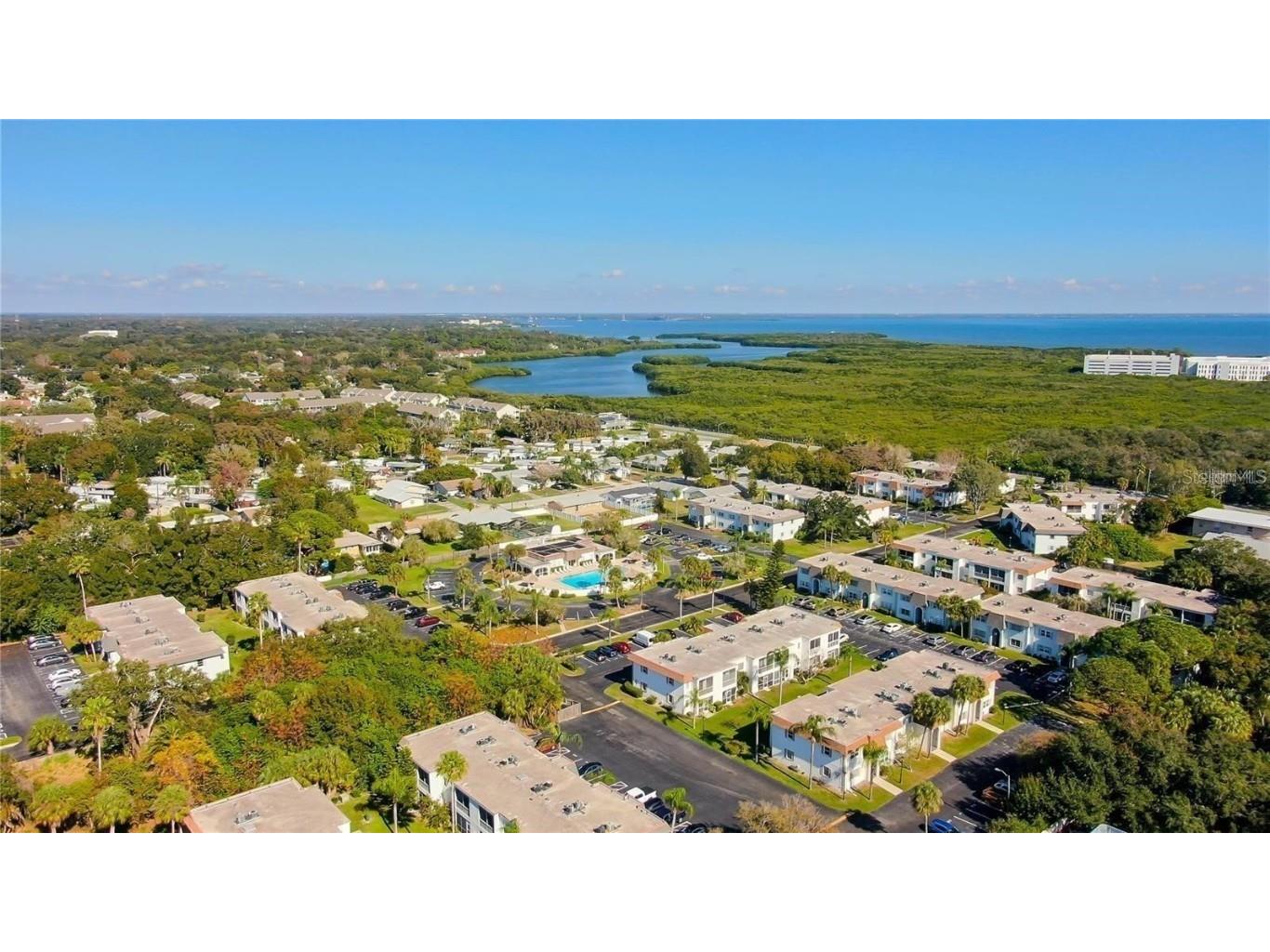 355 Mcmullen Booth Road #116 Clearwater FL 33759 TB8450259 image12