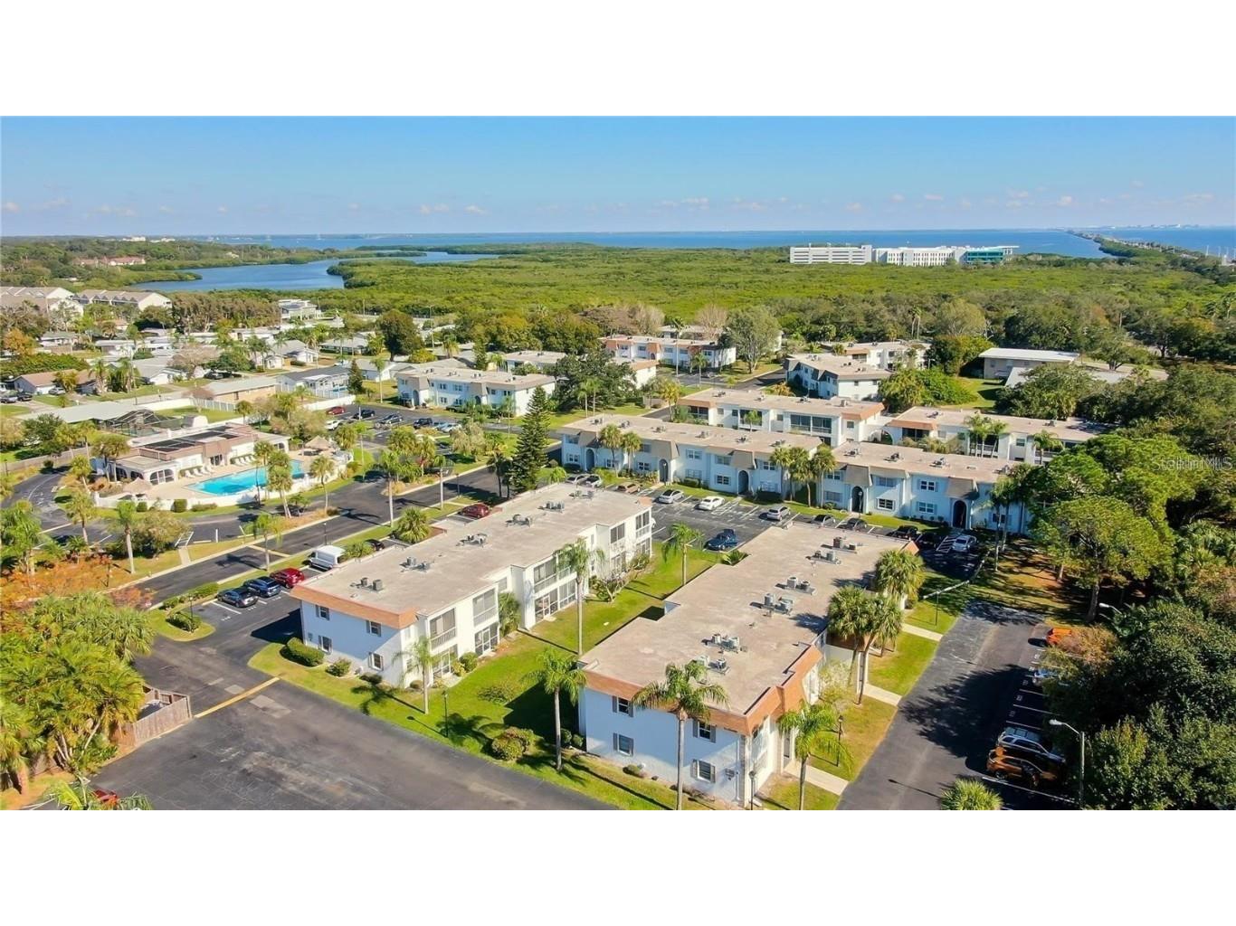 355 Mcmullen Booth Road #116 Clearwater FL 33759 TB8450259 image2