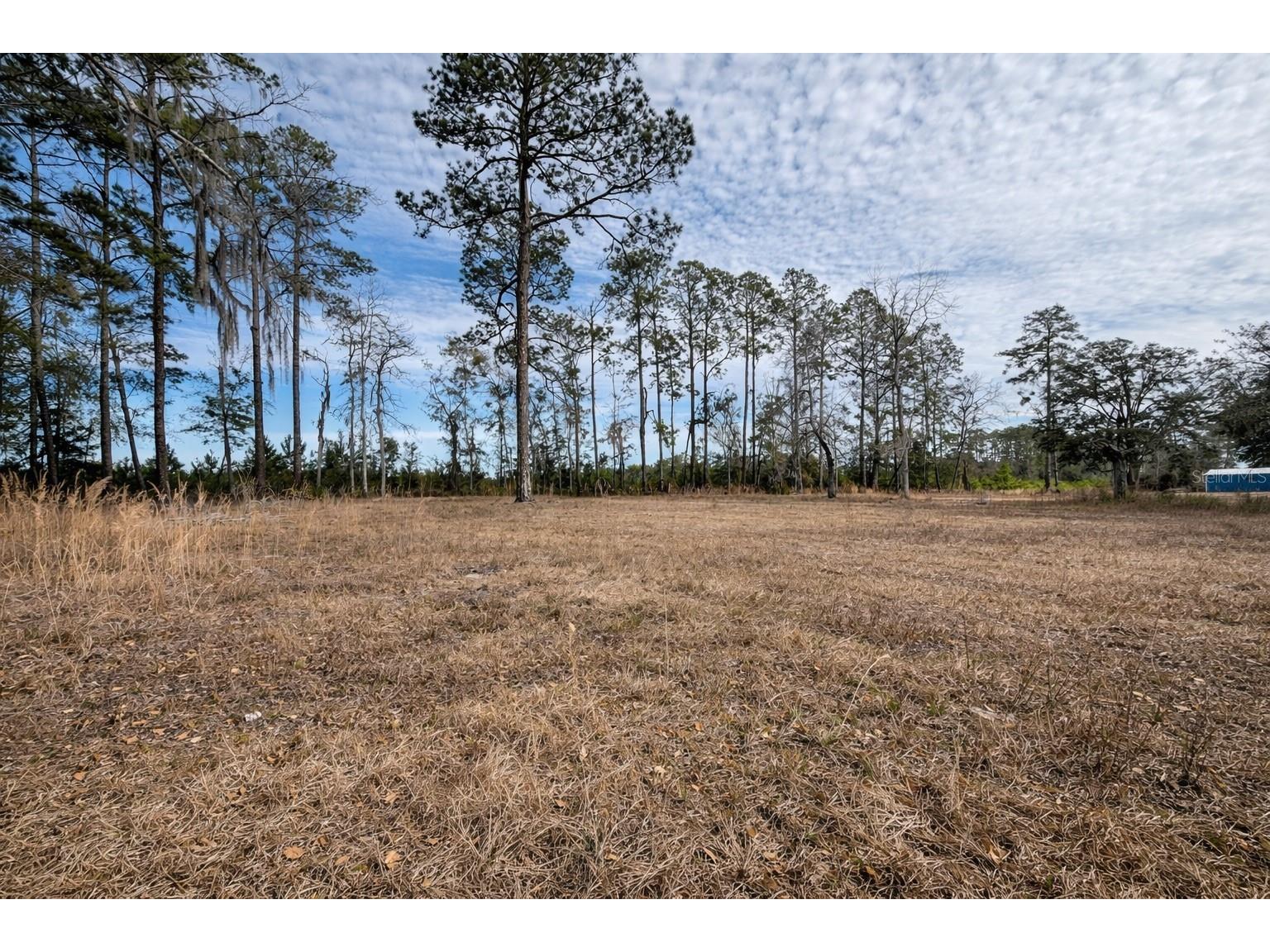 355 SW Marvin Burnett Road Lake City FL 32025 GC537583 image62