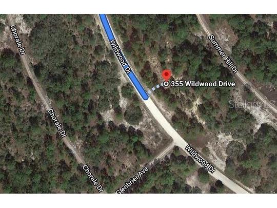 355 Wildwood Drive Lake Placid FL 33852 OM621741 image2