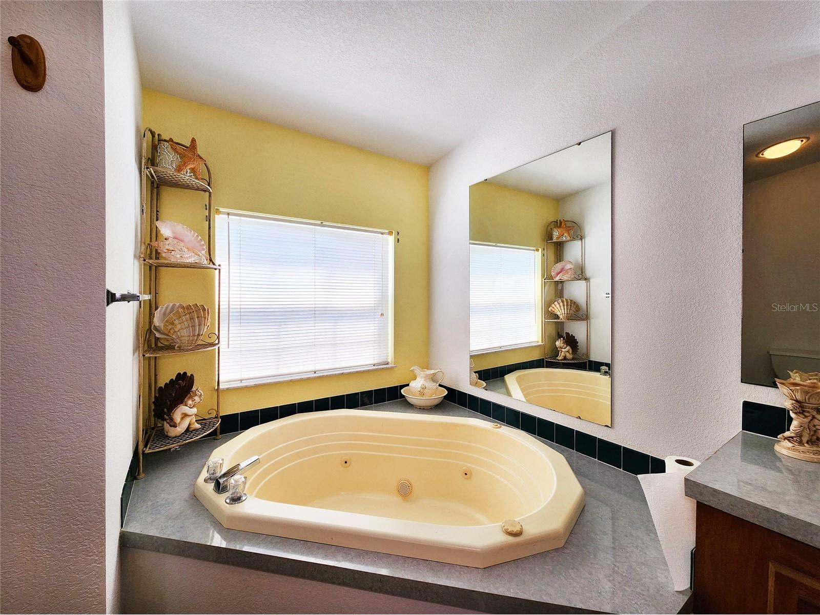 3550 Coats Road Zephyrhills FL 33541 TB8362008 image38