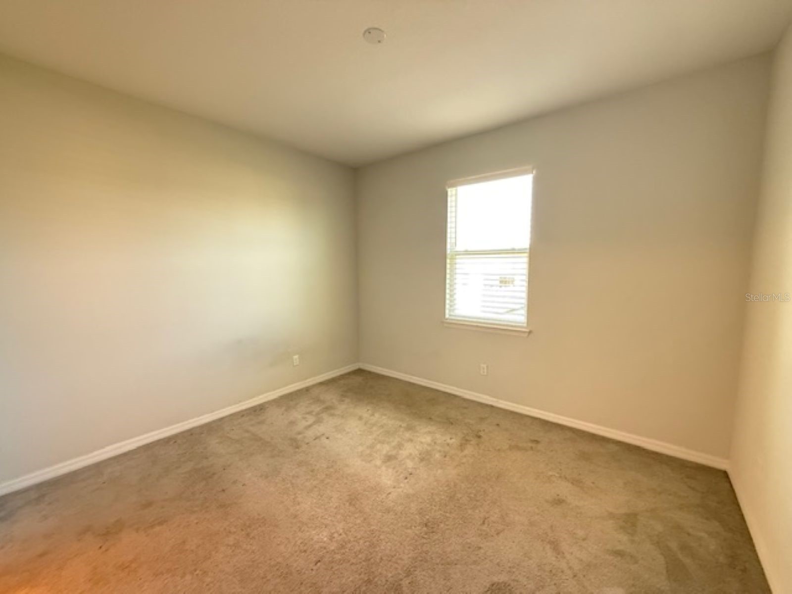 3550 Forster Avenue Leesburg FL 34748 OM723979 image5