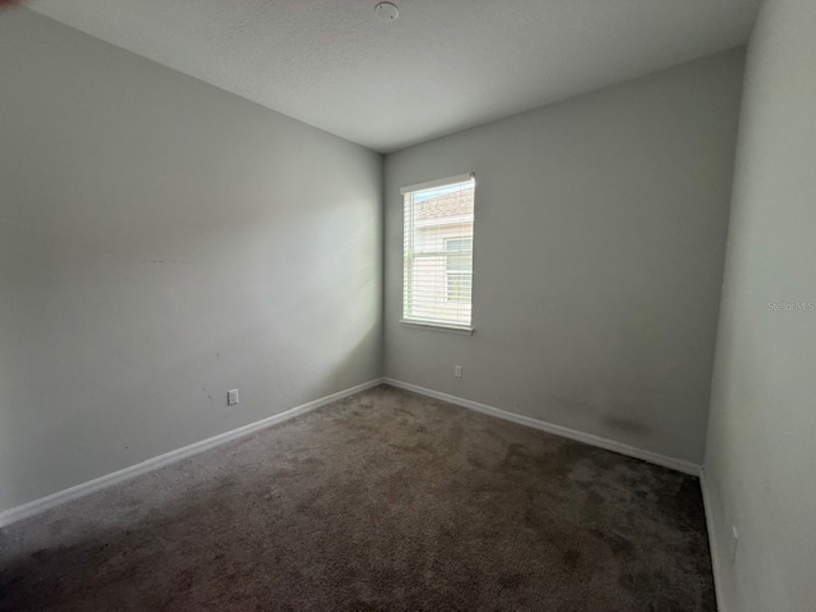 3550 Forster Avenue Leesburg FL 34748 OM723979 image8
