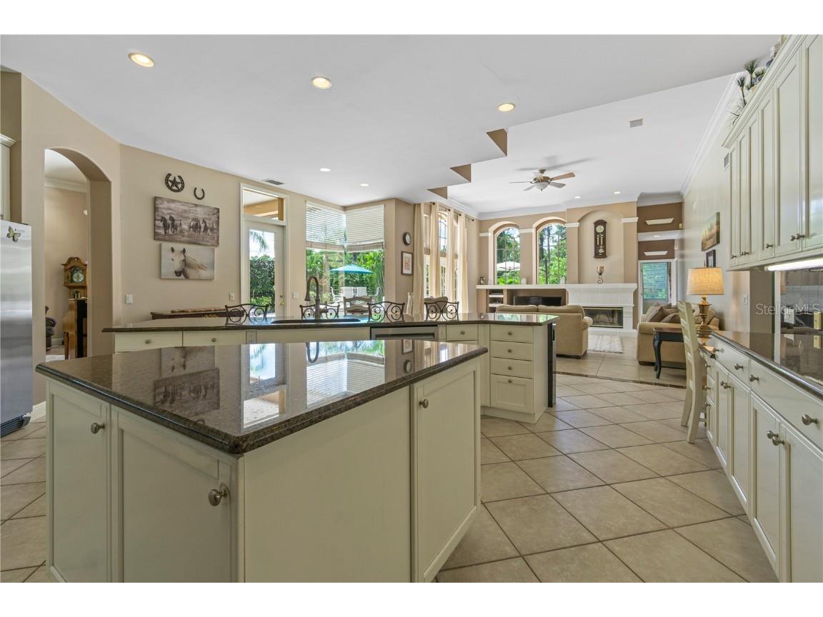 3550 Justin Drive Palm Harbor FL 34685 TB8425330 image14