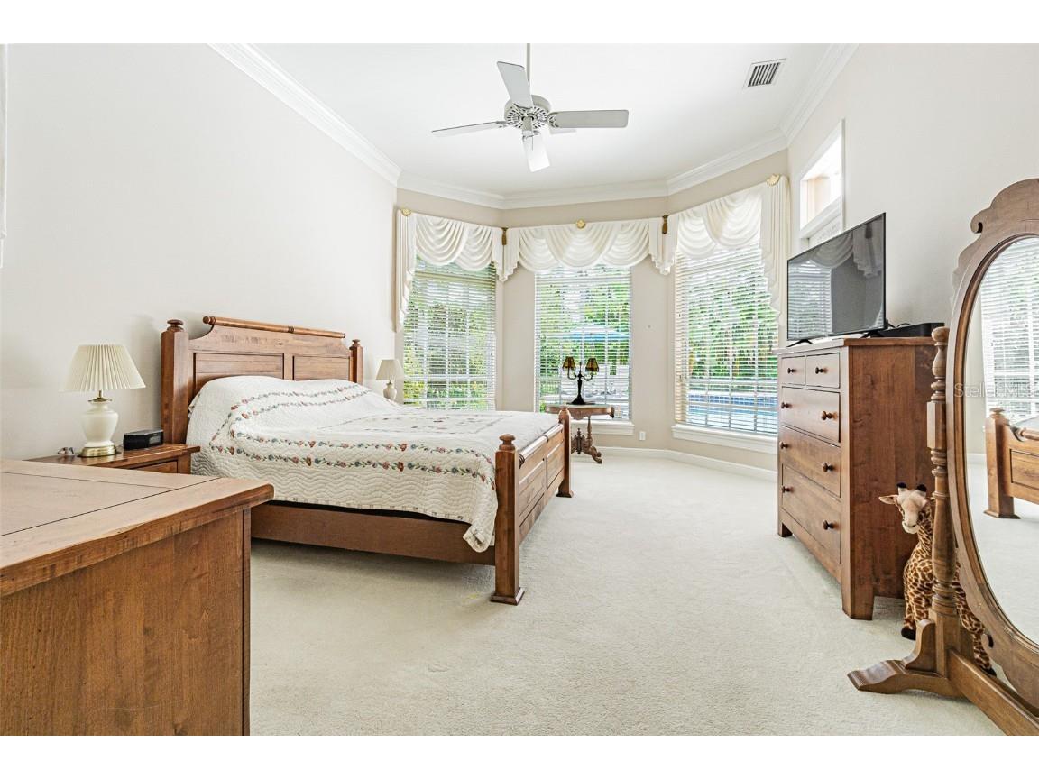 3550 Justin Drive Palm Harbor FL 34685 TB8425330 image21