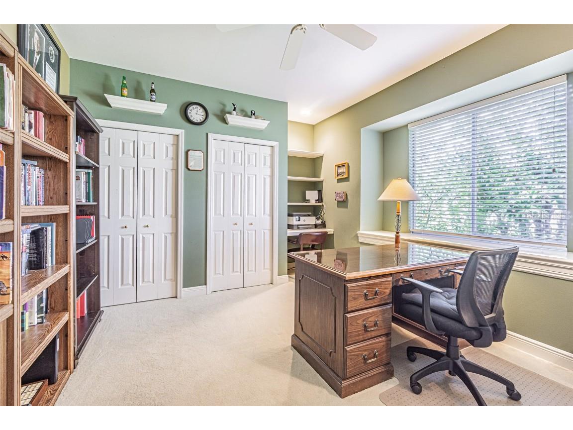 3550 Justin Drive Palm Harbor FL 34685 TB8425330 image29