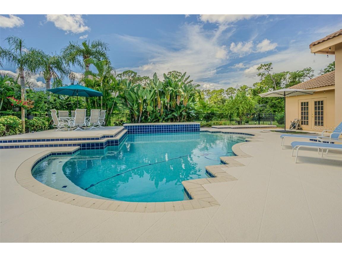 3550 Justin Drive Palm Harbor FL 34685 TB8425330 image35