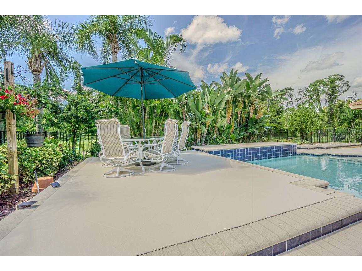 3550 Justin Drive Palm Harbor FL 34685 TB8425330 image39