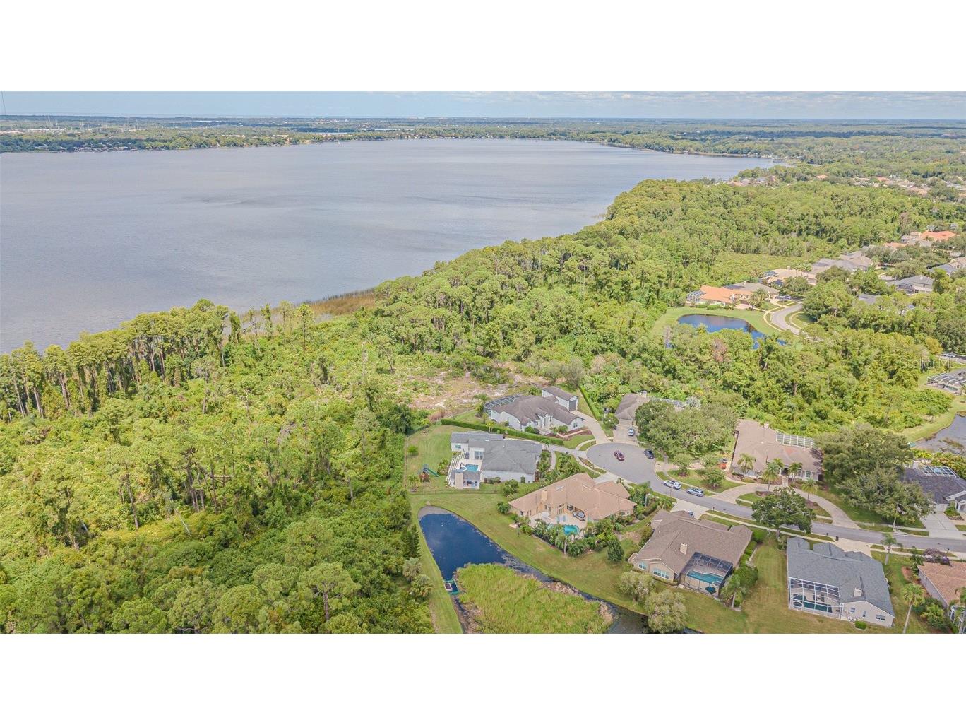 3550 Justin Drive Palm Harbor FL 34685 TB8425330 image45