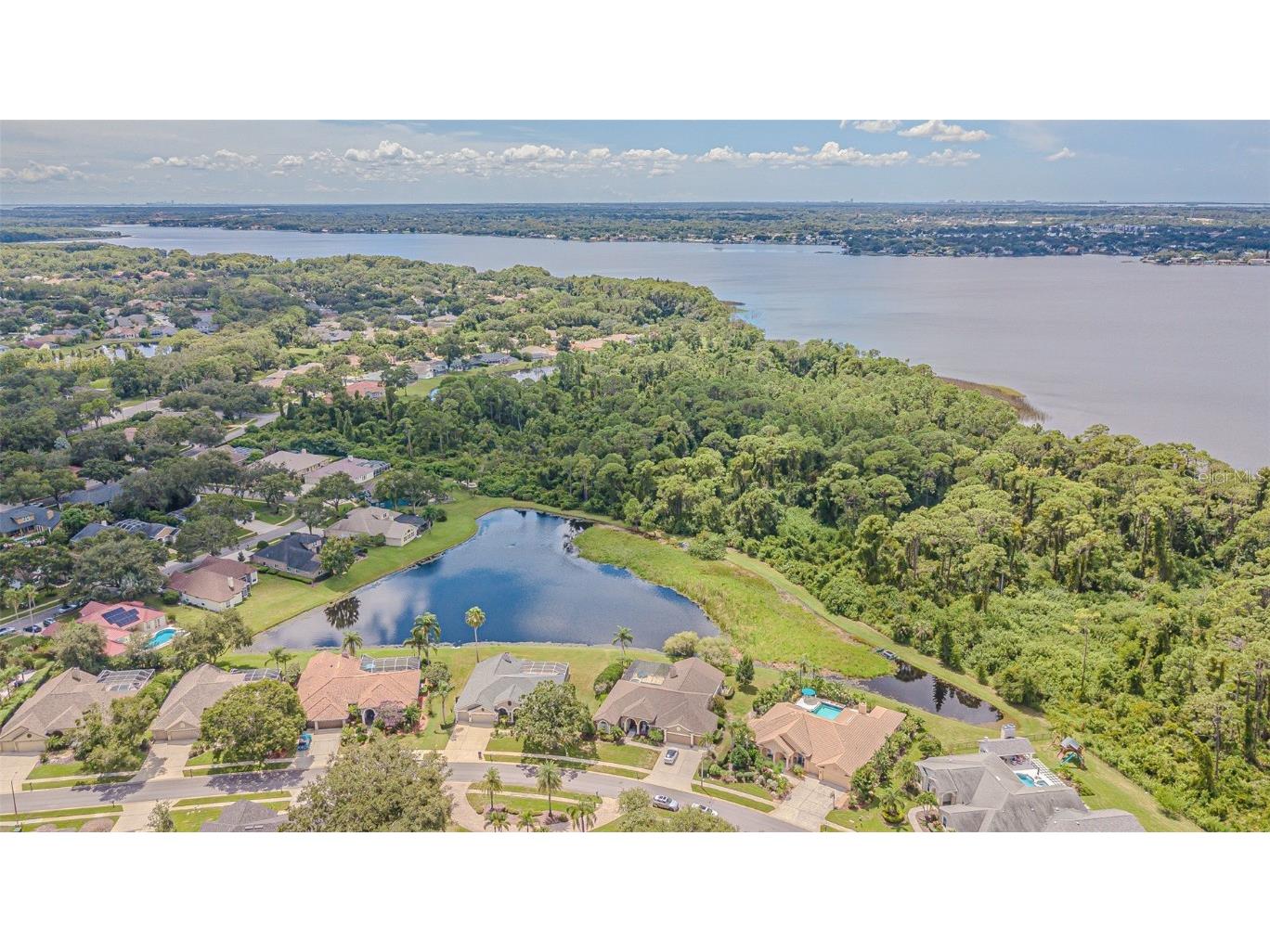 3550 Justin Drive Palm Harbor FL 34685 TB8425330 image46