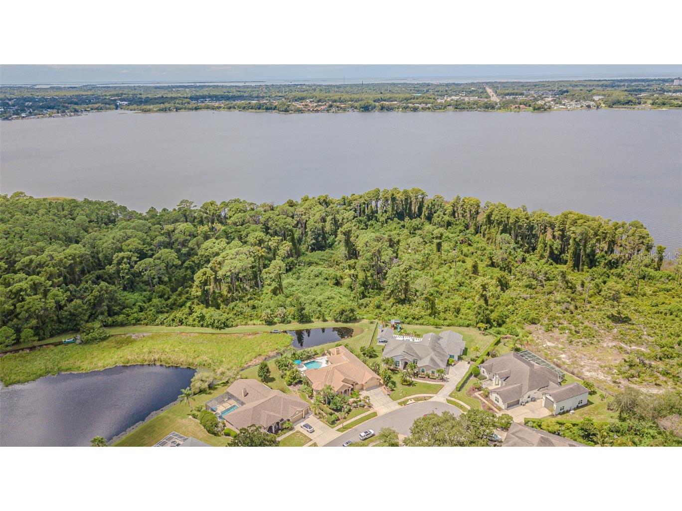 3550 Justin Drive Palm Harbor FL 34685 TB8425330 image47