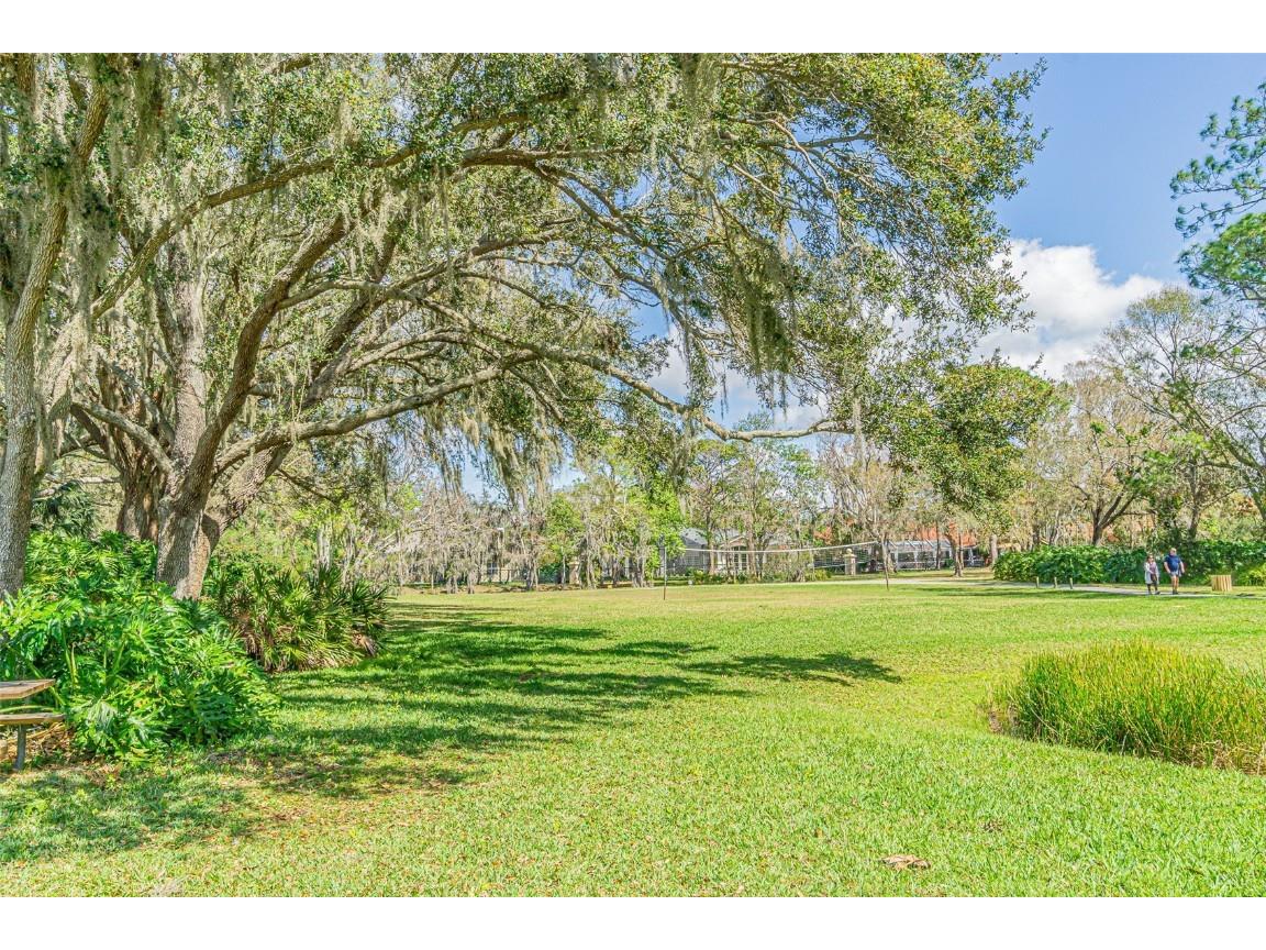 3550 Justin Drive Palm Harbor FL 34685 TB8425330 image55