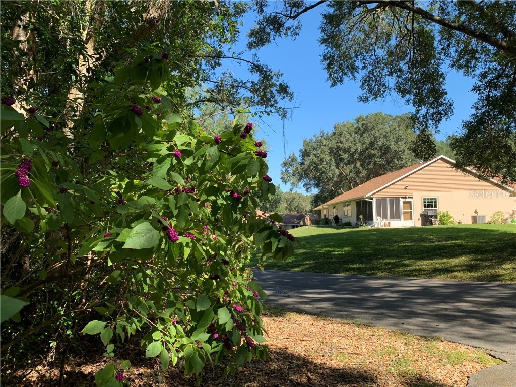 3550 N Lakeside Village Drive Beverly Hills FL 34465 R4905823 image6