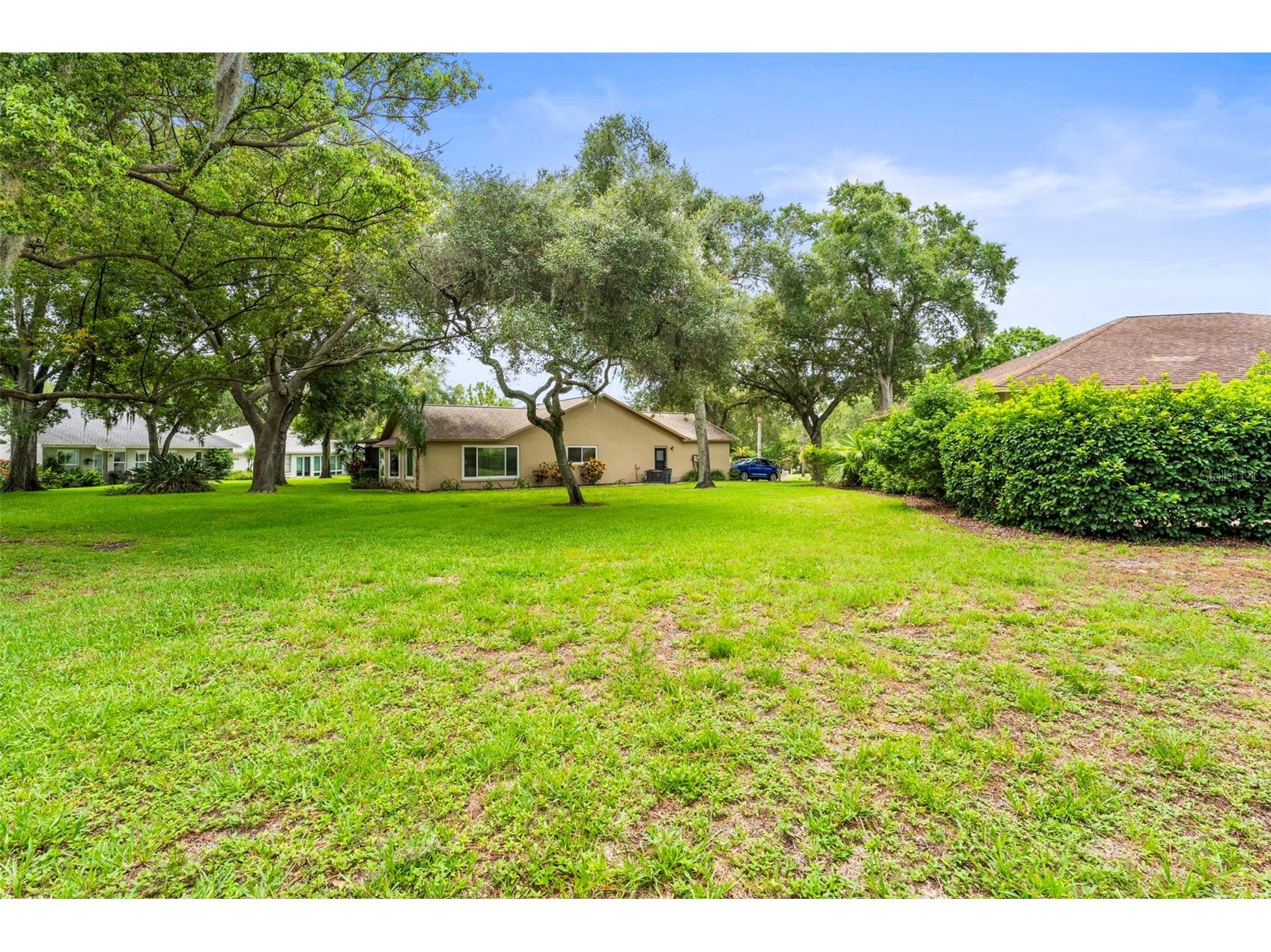 3550 Oak Lake Drive Palm Harbor FL 34684 TB8526542 image8