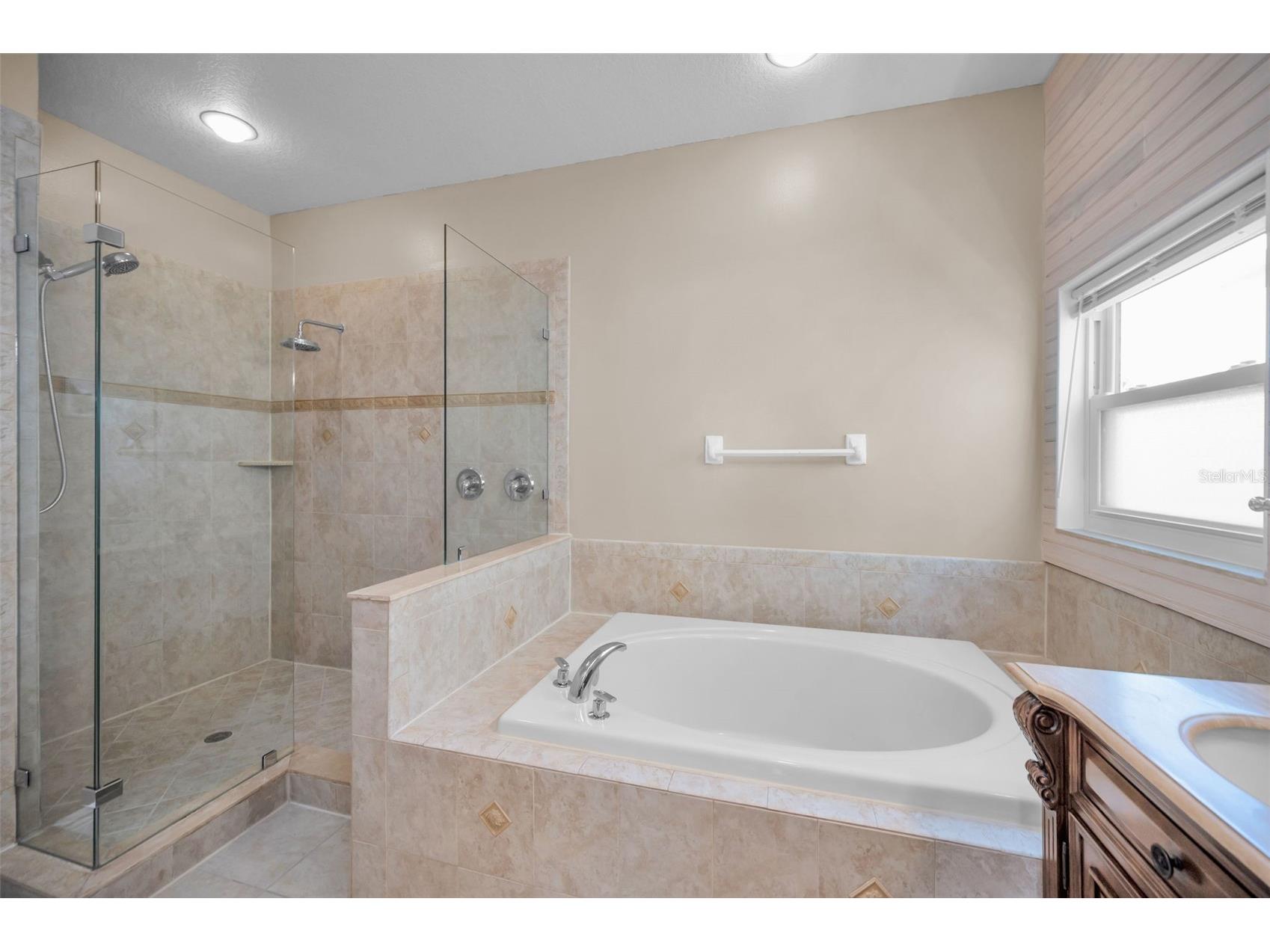 3550 Rolando Drive Palm Harbor FL 34683 TB8526027 image21