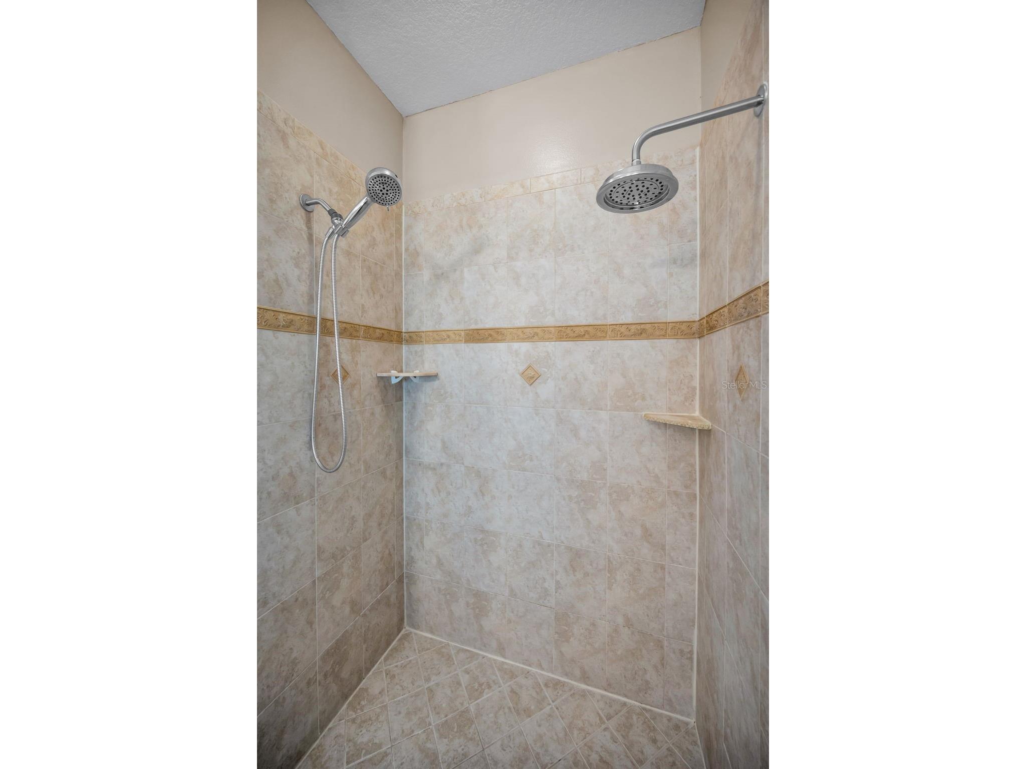 3550 Rolando Drive Palm Harbor FL 34683 TB8526027 image22