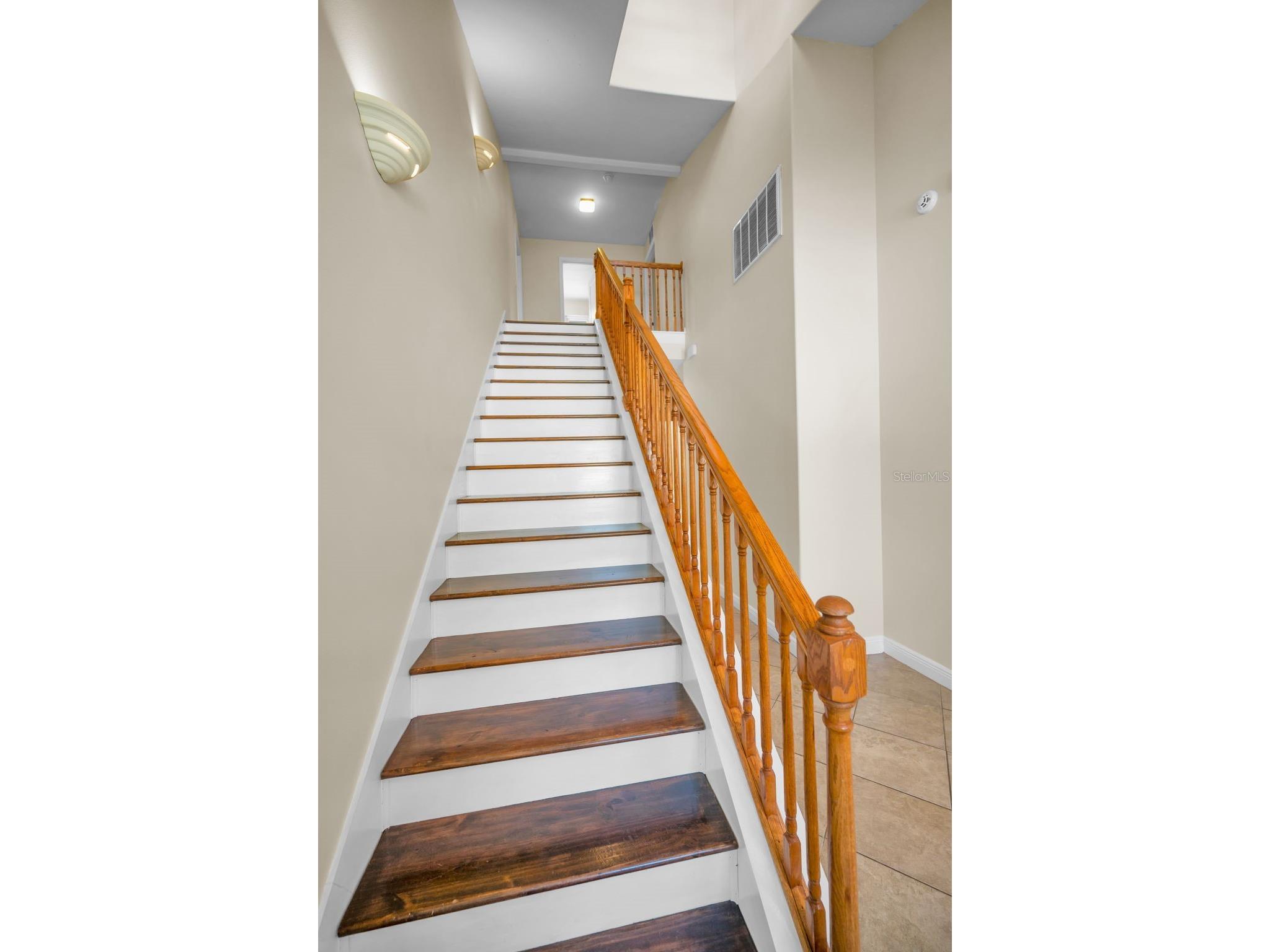 3550 Rolando Drive Palm Harbor FL 34683 TB8526027 image26