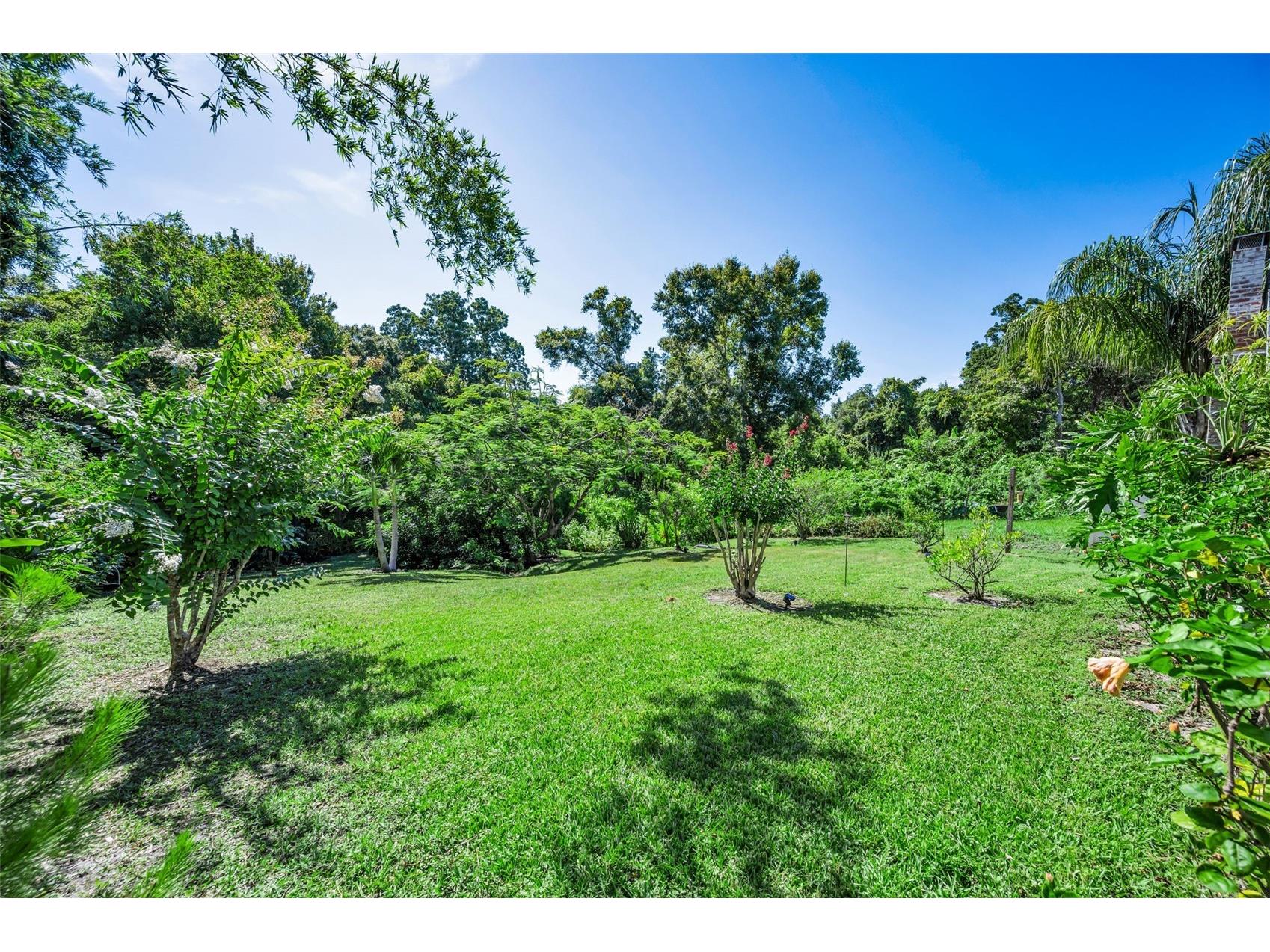 3550 Rolando Drive Palm Harbor FL 34683 TB8526027 image38
