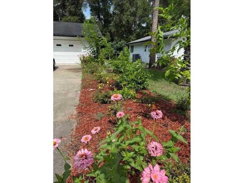 3550 S Dean Terrace Inverness FL 34452 TB8420646 image34