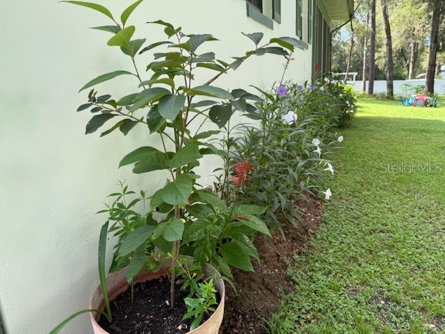 3550 S Dean Terrace Inverness FL 34452 TB8420646 image37