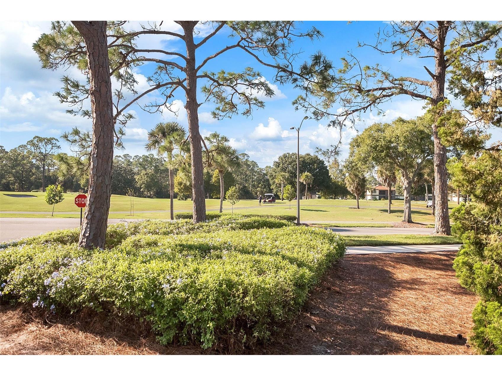 3550 Southpointe Drive Orlando FL 32822 O6372474 image24