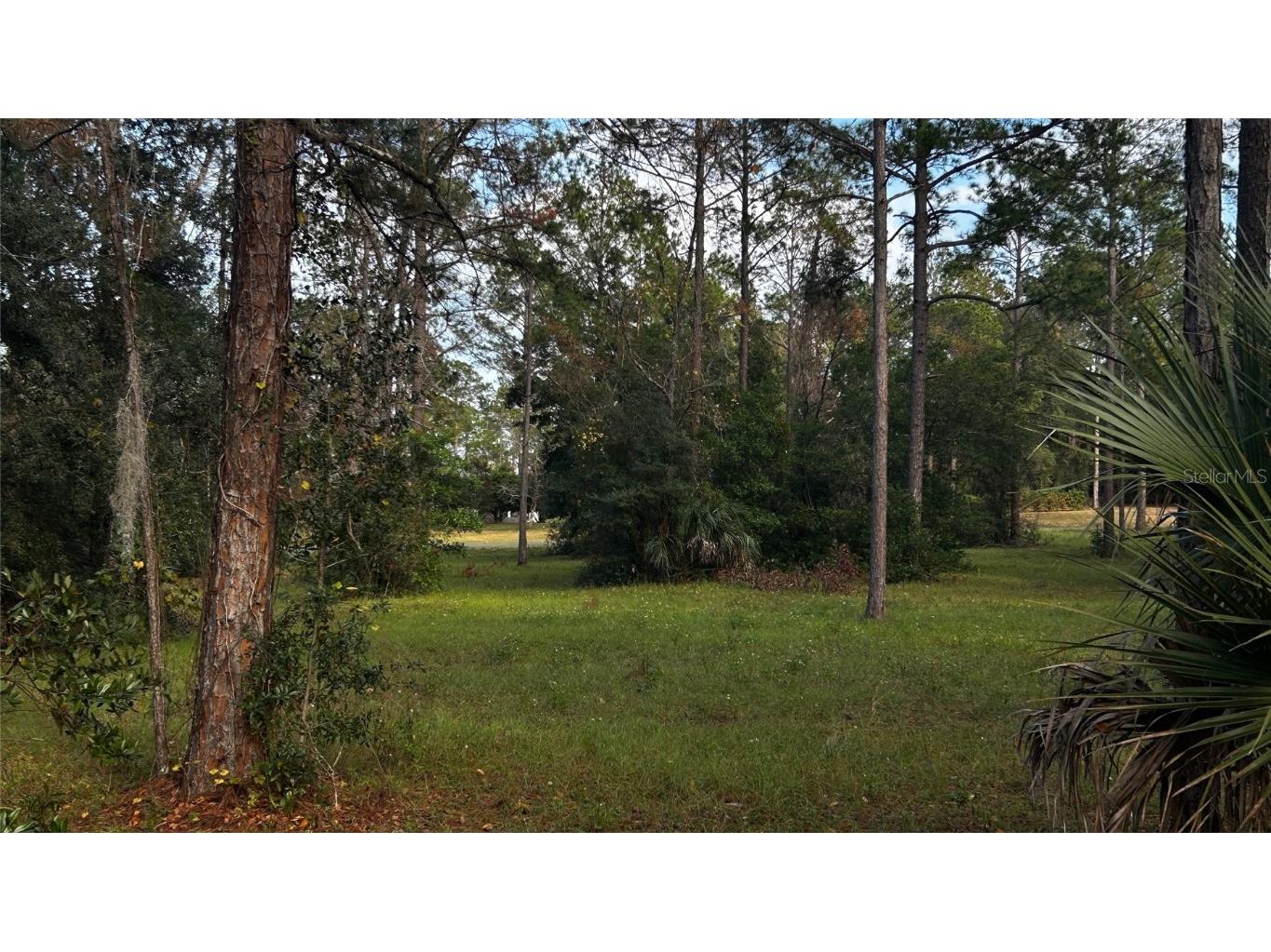 35501 Pinegate Trail Eustis FL 32736 TB8412977 image10